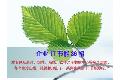 IT����36��