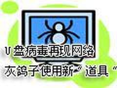 U盘病毒再现网络 灰鸽子使用新