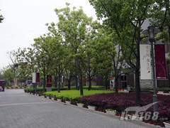 非同凡响 安桥如临其境小区试听会报道