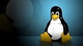 �����ս���� Linuxȫ�淴��Windows