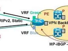 进阶广域网络设计：网络虚拟化 (二)