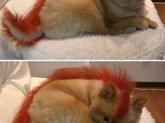 【天天安全】火狐浏览器安全漏洞公告