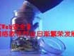 【Web安全】网络欺诈行业日渐繁荣发展