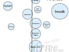 探讨MySQL开发团队成员现状