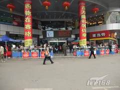 [长沙]新年新气象 赛格市场虎势来袭