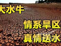 送水送爱送温暖 大水牛抗旱赈灾献真情