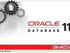 x86渐热 Oracle数据库服务器选型指南