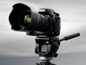 �῵D800