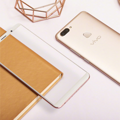 ��ŵ�����ݳ�¯��vivo X20����������һ