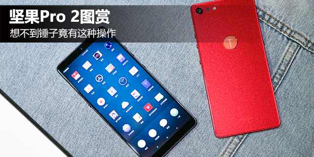 ���Pro 2ͼ�ͣ����Ӿ������ֲ���